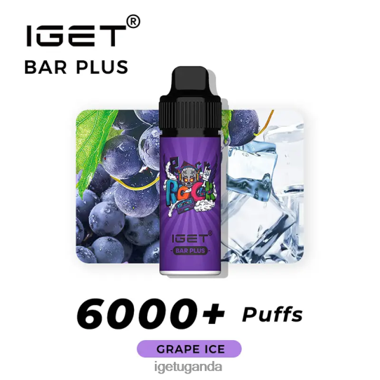 Nicotine Free IGET Bar Plus Vape Kit F02404374 Grape Ice | Iget Bar Store