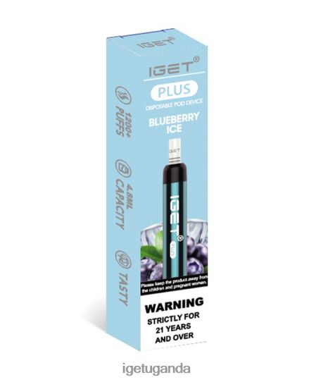IGET Plus F0240432 Blueberry Ice | Iget Bar Sale