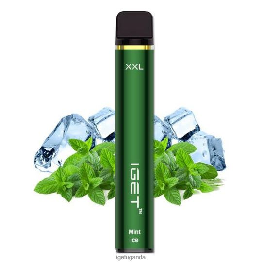 IGET XXL - 1800 PUFFS F02404528 Mint Lemonade | Iget Vapes Online