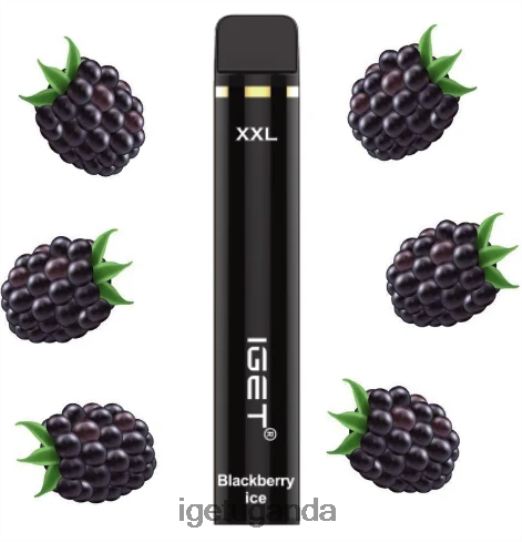 IGET XXL - 1800 PUFFS F02404542 Blackberry Ice | Iget Sale