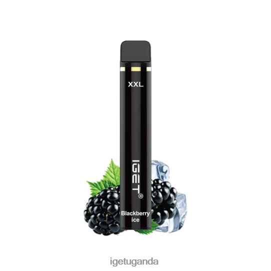 IGET XXL 1800 Puffs F02404359 Blackberry Ice | Iget Vape Price