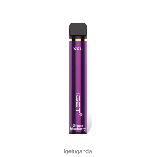 IGET XXL 1800 Puffs F02404361 Grape Blueberry | Iget Vapes Online