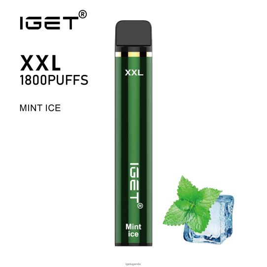 IGET XXL F0240463 Mint Ice | Iget Wholesale