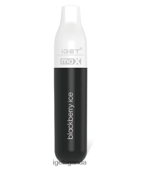IGET Max F0240477 Blackberry Ice | Iget Bar Sale