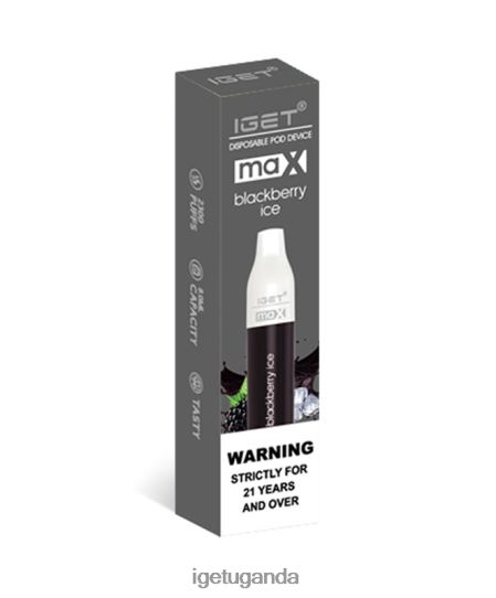 IGET Max F0240477 Blackberry Ice | Iget Bar Sale