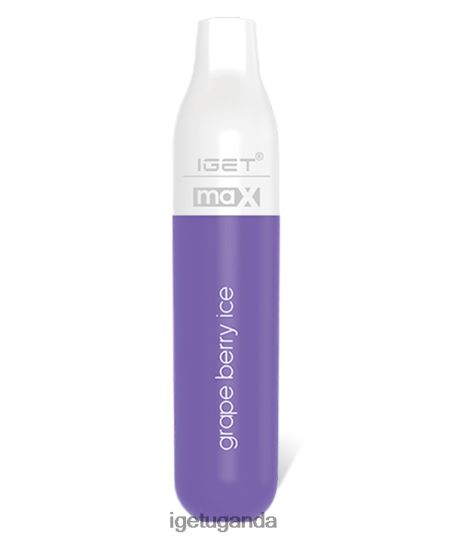 IGET Max F0240481 Grape Berry Ice | Iget Vape Flavours