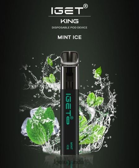 IGET KING - 2600 PUFFS F02404449 Mint Ice | Iget Bar Store