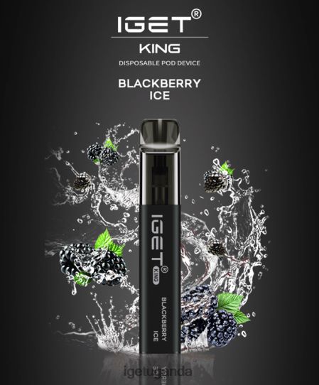 IGET KING - 2600 PUFFS F02404554 Blackberry Ice | Iget Vape Price