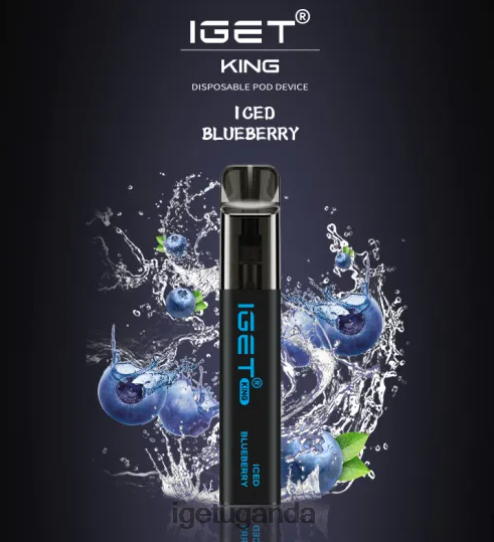 IGET KING - 2600 PUFFS F02404555 Iced Blueberry | Iget Vape Flavours