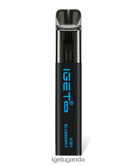 IGET King F02404102 Iced Blueberry | Iget Vapes Online