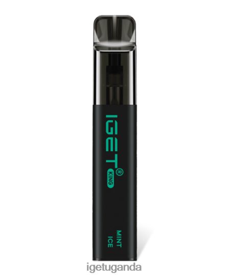 IGET King F02404108 Mint Ice | Iget Wholesale