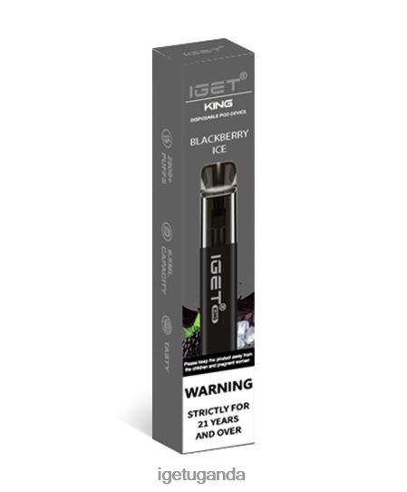 IGET King F0240494 Blackberry Ice | Iget Bar Store