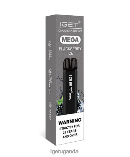 IGET MEGA F02404124 Blackberry Ice | Iget Vape