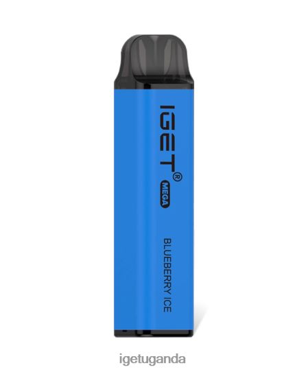 IGET MEGA F02404126 Blueberry Ice | Iget Vape Flavours