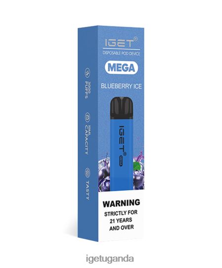 IGET MEGA F02404126 Blueberry Ice | Iget Vape Flavours