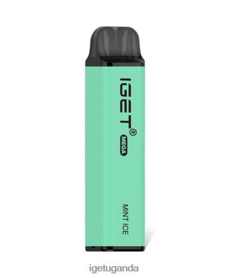 IGET MEGA F02404134 Mint Ice | Iget Vape