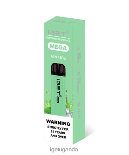 IGET MEGA F02404134 Mint Ice | Iget Vape