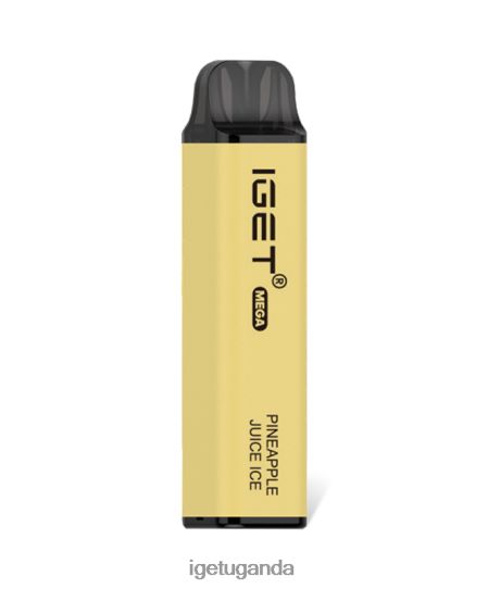 IGET MEGA F02404140 Pineapple Juice Ice | Iget Sale