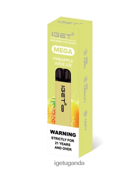 IGET MEGA F02404140 Pineapple Juice Ice | Iget Sale