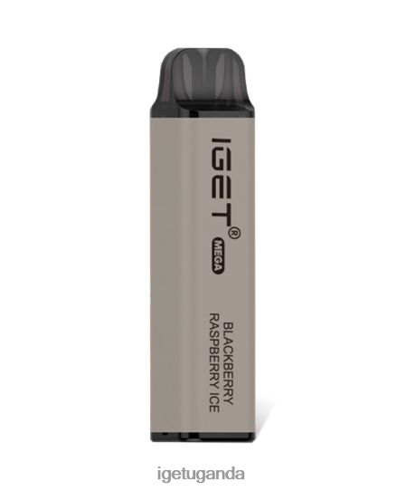 IGET MEGA F02404146 Very Berry | Iget Vape Flavours