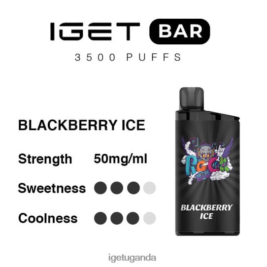 IGET Bar 3500 Puffs F02404301 Blackberry Ice | Iget Vape Flavours