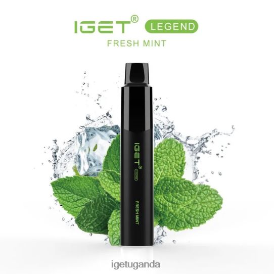 IGET LEGEND - 4000 PUFFS F02404565 Fresh Mint Ice | Iget Sale