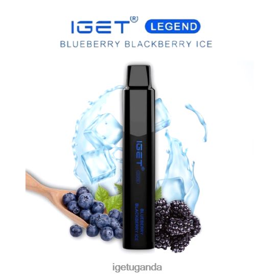 IGET LEGEND - 4000 PUFFS F02404644 Blueberry Blackberry Ice | Iget Vape