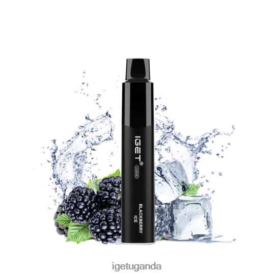 IGET Legend 4000 Puffs F02404324 Blackberry Ice | Iget Vape