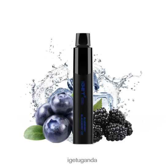 IGET Legend 4000 Puffs F02404325 Blueberry Blackberry Ice | Iget Vape Price