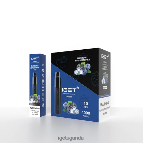 IGET Legend 4000 Puffs F02404325 Blueberry Blackberry Ice | Iget Vape Price