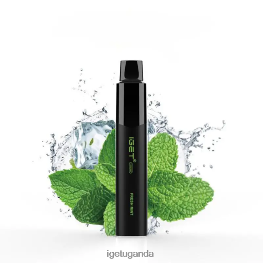 IGET Legend 4000 Puffs F02404326 Fresh Mint | Iget Vape Flavours