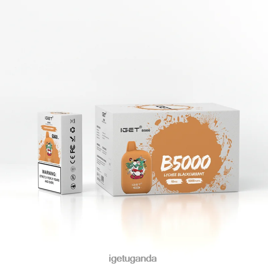 IGET B5000 F02404309 Lychee Blackcurrant | Iget Sale