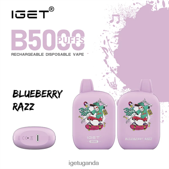 IGET B5000 F02404310 Blueberry Razz | Iget Vape Sale