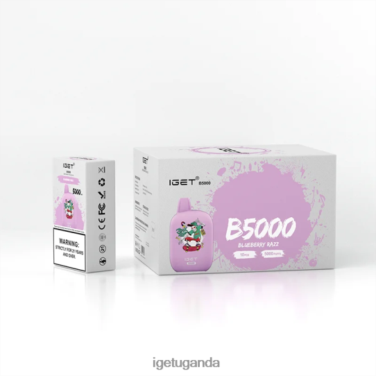 IGET B5000 F02404310 Blueberry Razz | Iget Vape Sale