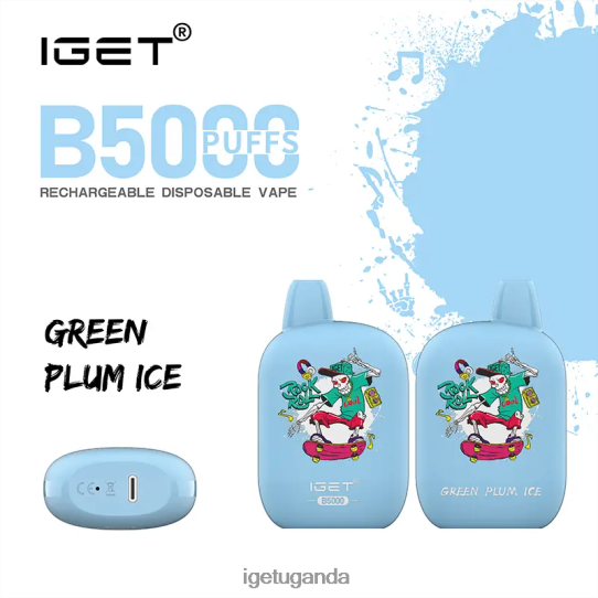 IGET B5000 F02404311 Green Plum Ice | Iget Bar Sale