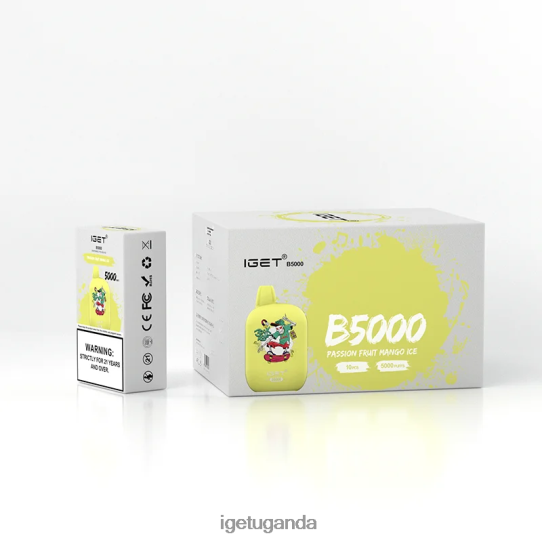 IGET B5000 F02404312 Passion Fruit Mango Ice | Iget Wholesale