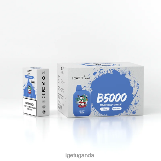 IGET B5000 F02404314 Strawberry Kiwi Ice | Iget Vape Price