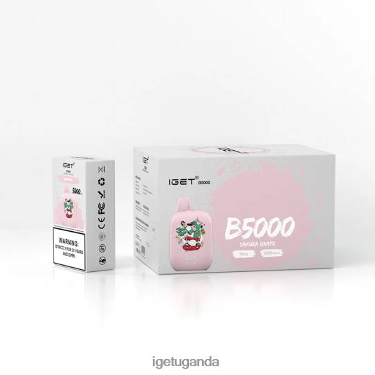 IGET B5000 F02404317 Sakura Grape | Iget Store