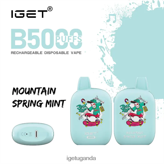 IGET B5000 F02404318 Mountain Spring Mint | Iget Bar Store