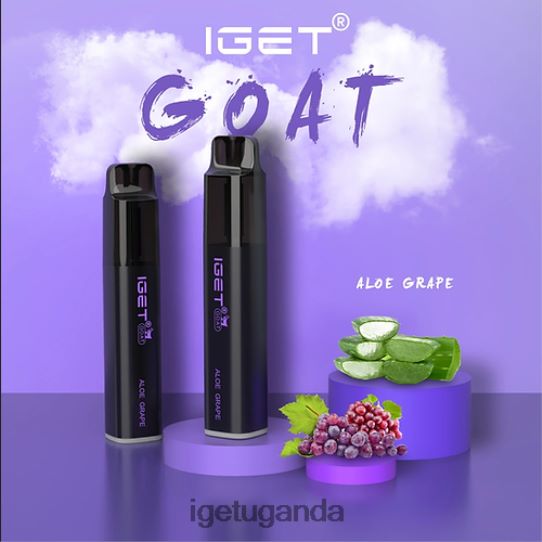 IGET GOAT - 5000 PUFFS F02404486 Aloe Grape | Iget Wholesale