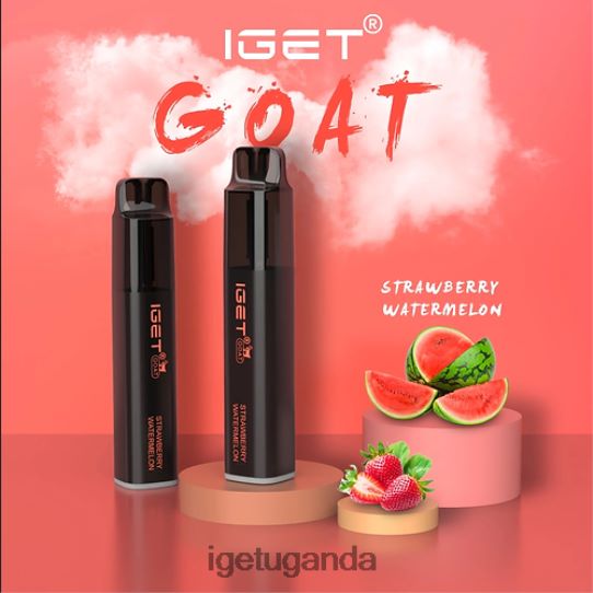 IGET GOAT - 5000 PUFFS F02404607 Strawberry Watermelon | Iget Sale