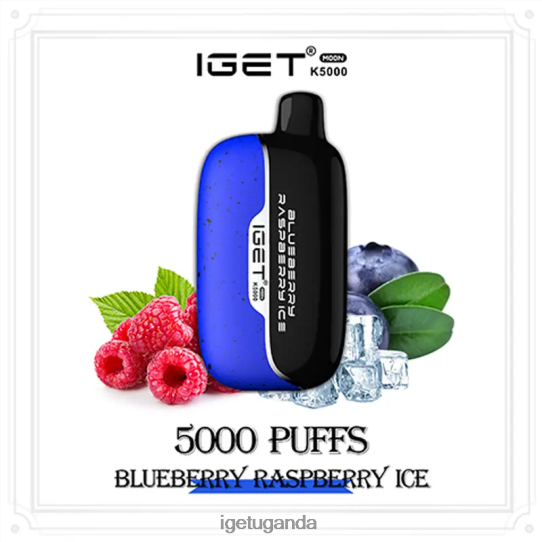 IGET Moon 5000 Puffs F02404213 Blueberry Raspberry Ice | Iget Store