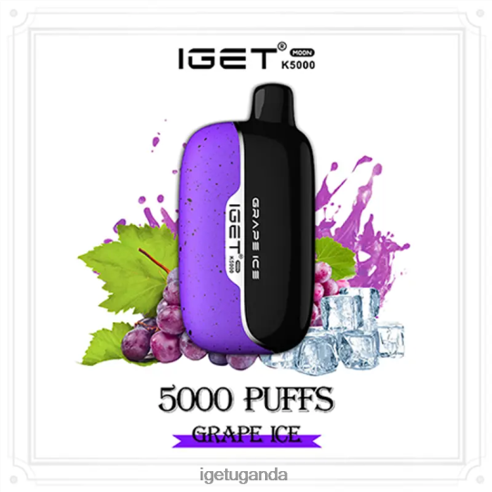 IGET Moon 5000 Puffs F02404214 Grape Ice | Iget Bar Store