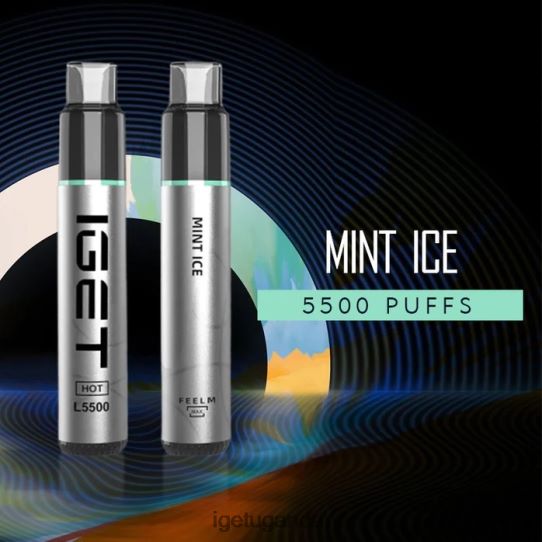 IGET HOT - 5500 PUFFS F02404436 Mint Ice | Iget Sale