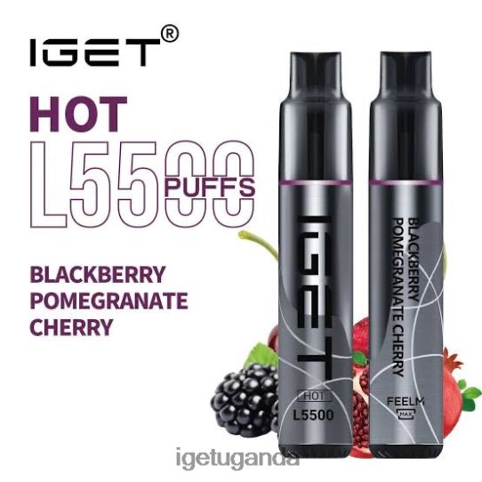 IGET HOT - 5500 PUFFS F02404466 Blackberry | Iget Wholesale
