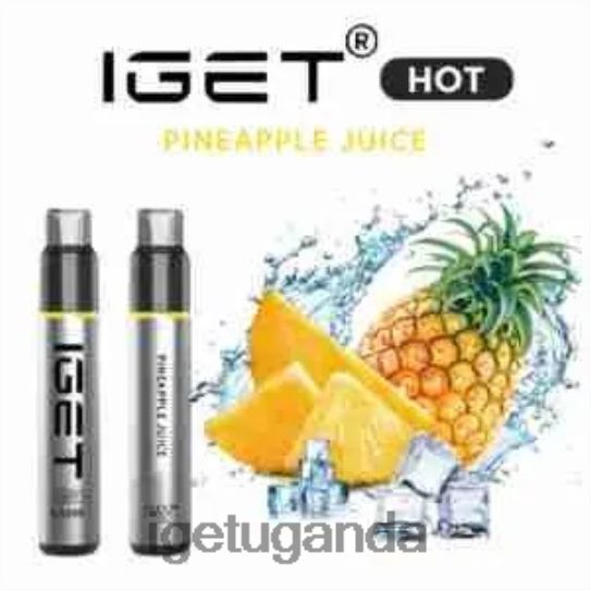 IGET HOT - 5500 PUFFS F02404547 Pineapple Juice | Iget Vape Sale
