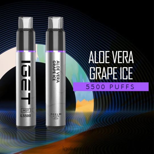 IGET HOT - 5500 PUFFS F02404584 Aloe Vera Grape Ice | Iget Vape Price
