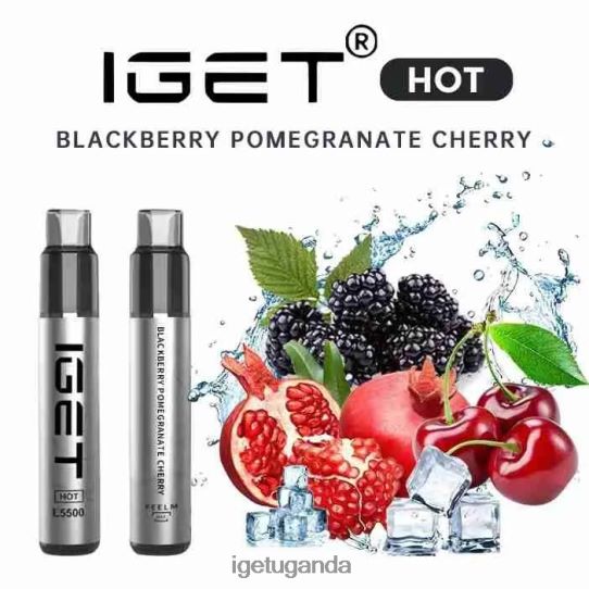 IGET HOT - 5500 PUFFS F02404650 Blackberry Pomegranate Cherry | Iget Sale