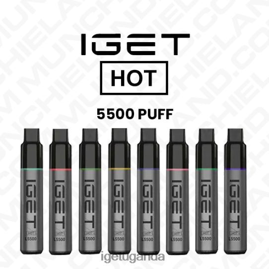 IGET HOT DISPOSABLE VAPE WHOLESALE (5500 PUFFS) F02404612 | Iget Vapes Online