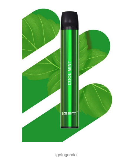 IGET SHION - 600 PUFFS F02404473 Cool Mint | Iget Vapes Online